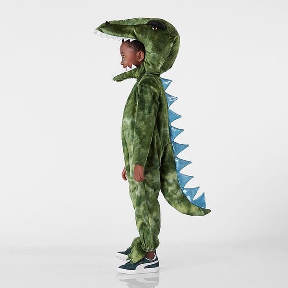 Pottery Barn Kids Dino Costume - Picture 8 of 16